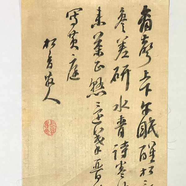 月下芙蓉に狸図】河村文鳳 2661 フヨウにタヌキ 掛け軸肉筆